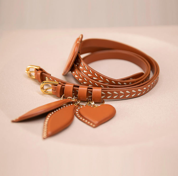 Kainaat Belt