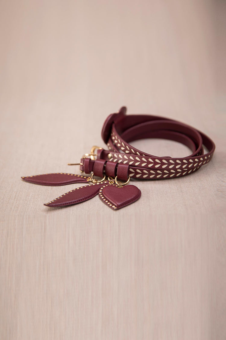 Kainaat Belt