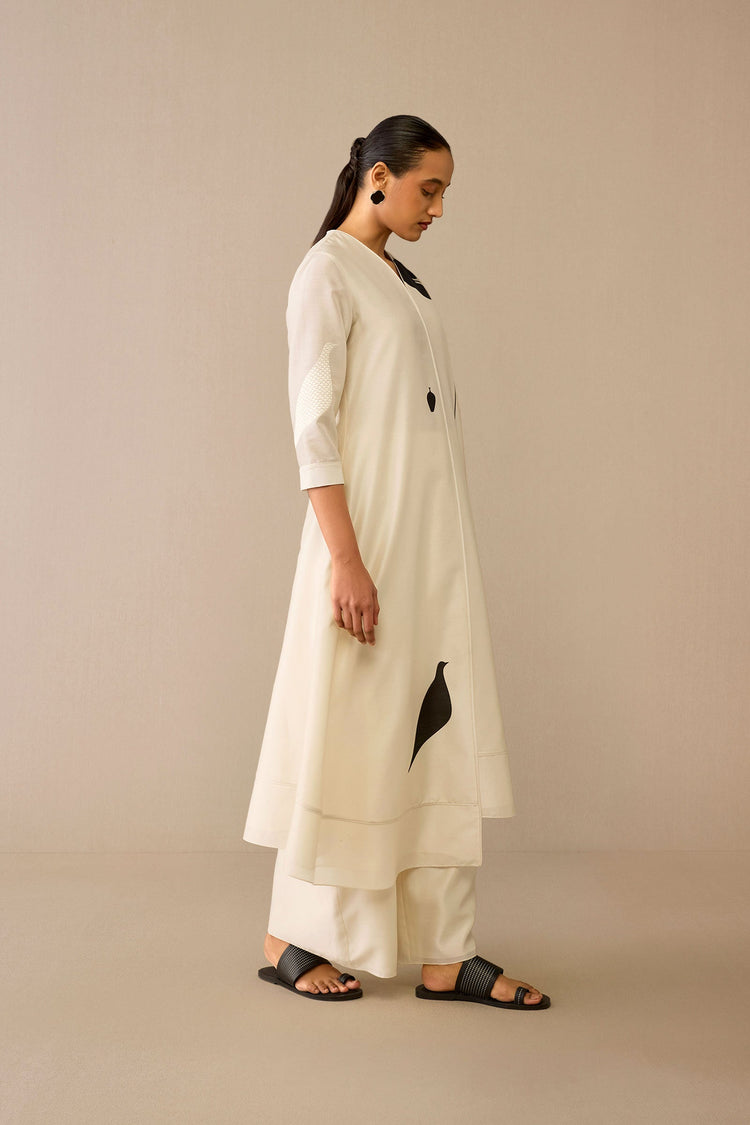 Dilruba Kurta Set