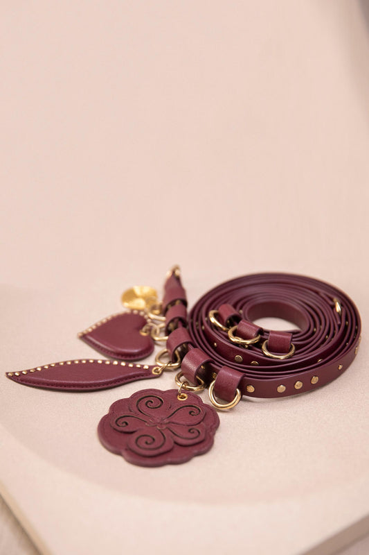 Leather Aafia Belt – Red